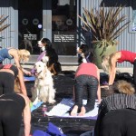 Doga Yoga with Stacy McCarthy