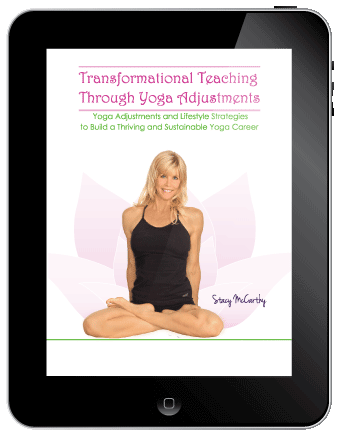 StacyMcCarthy iPad Front Cover