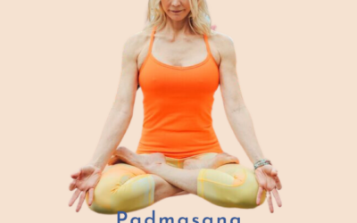 Lotus Pose Padmasana