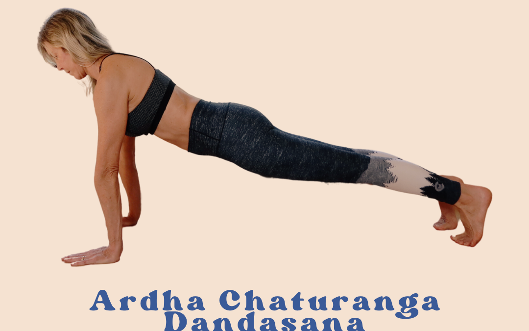 Plank Pose Ardha Chaturanga Dandasana