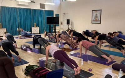 The Vinyasa That Meets You Where You Are